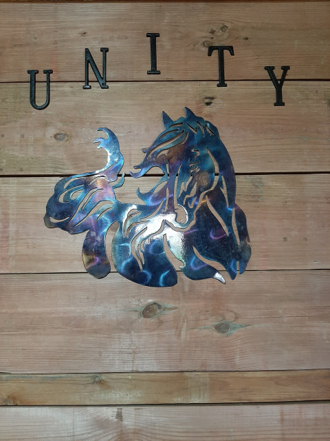 Visit Unity Horse Boarding COOP Self Care and Training