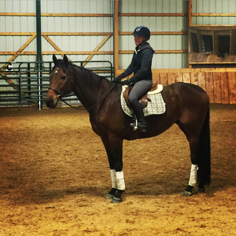 Visit Equine Boarding, Training and Lesson Barn