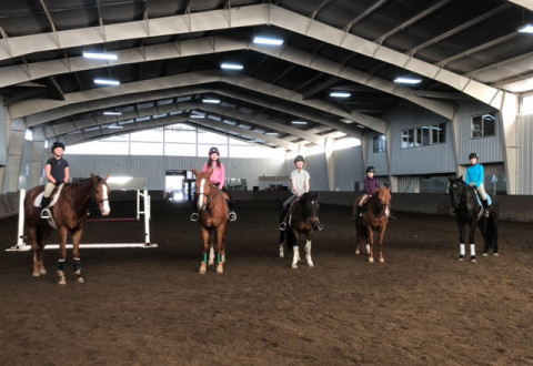 Visit Denver Equestrians Riding School