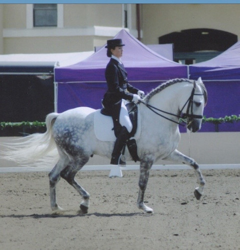 Visit Avalon Dressage - Lauren Ogden