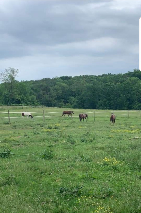 Visit Valley Heart Farm