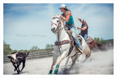 Visit Fine Creek Equestrian