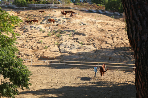 Visit Peacock Hill Ranch