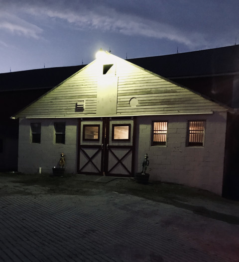 Visit Top Line Stables