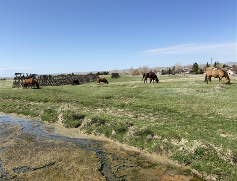 Visit Horse Pasture Boarding