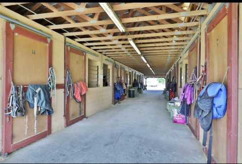 Visit The Vasquez Horse Ranch