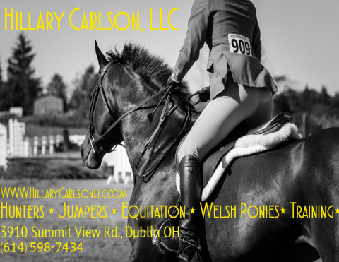 Visit Summer Camp @ Hillary Carlson Stables