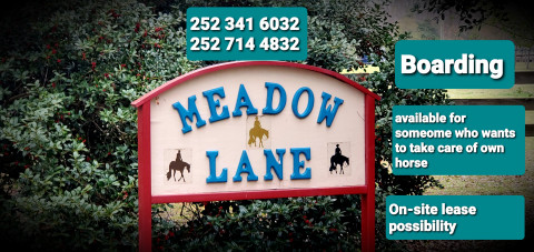 Visit MEADOW LANE