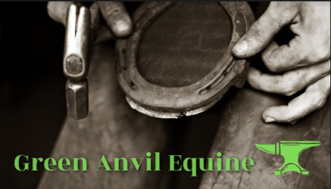 Visit Green Anvil equine