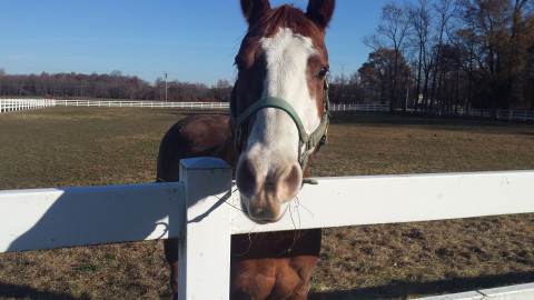 Visit Star Gate Farms