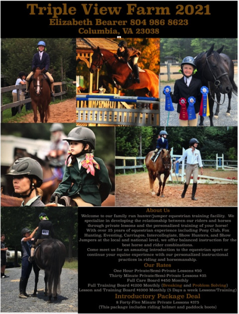 Visit Triple View Farm Hunter/Jumper Training Facility