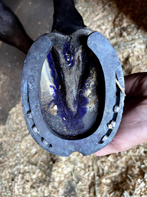 Visit Vagabond Forge and Farrier