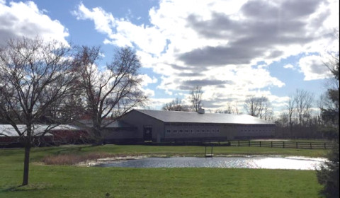 Visit Kelly Albright | USDF Silver Medalist | Kensington Farms