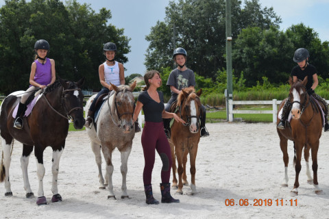 Visit Sammon Equestrian