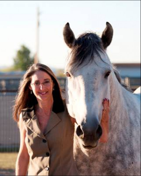 Visit Alysia Carlin - Prescott AZ Horse Property