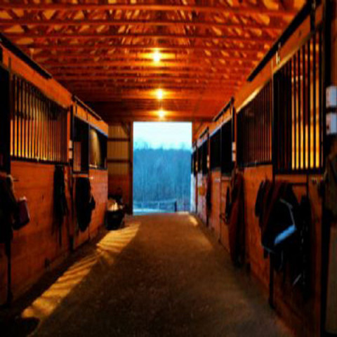 Visit Five Springs Farm - Horse Retirement Farm