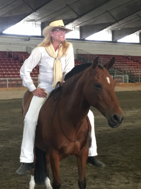 Visit Erica Dillard (gaited horse trainer)