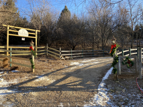 Visit Saddle Gait Stables
