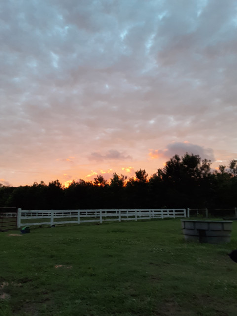 Visit Excalibur Stables Equestrian Center