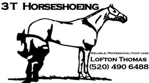 Visit 3 T Horseshoeing