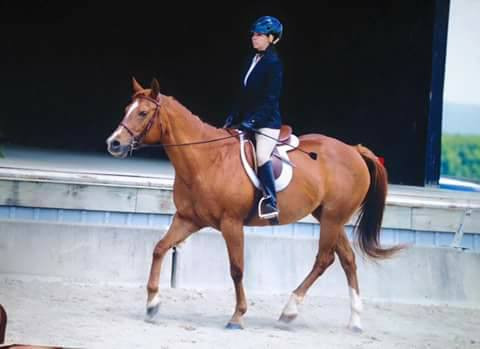 Visit Rise Again Riding School-Jam Lee TePoel