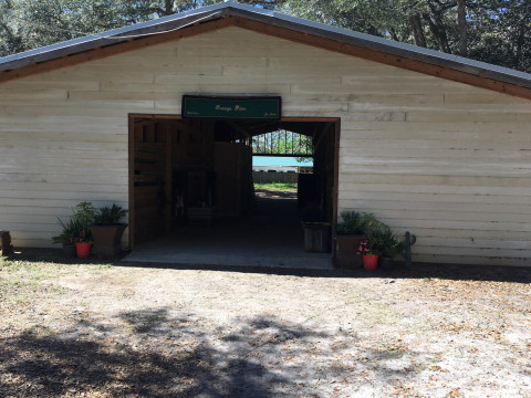 Visit Hack to Ocala HITS! Minutes to New World Equestrian Center (WEC)