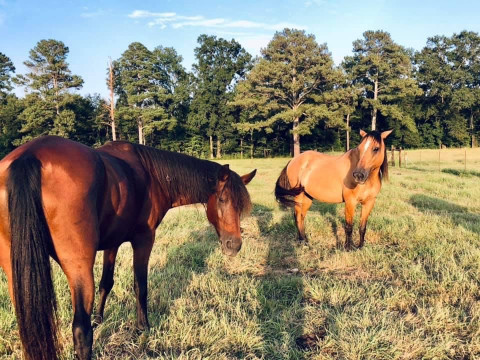 Visit Echo Valley Farm