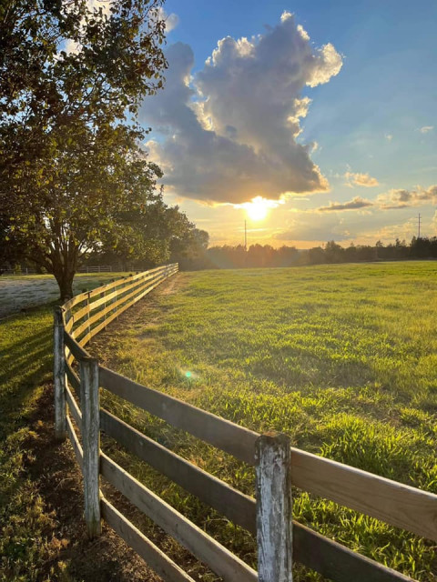 Visit Liberty Stables & Saddle Clubs