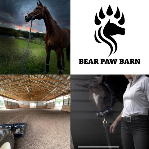 Visit Bear Paw Barn