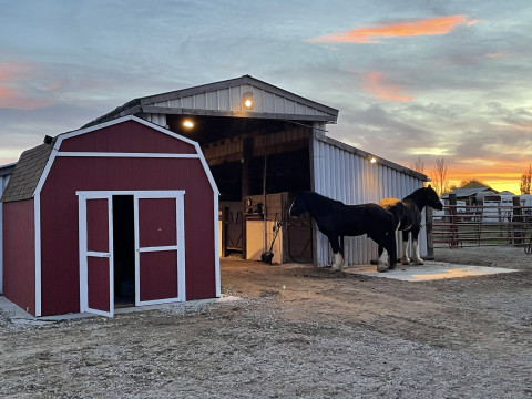 Visit Self Care Horse Boarding Stables