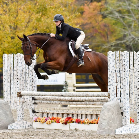 Visit Catskill Equestrian Center