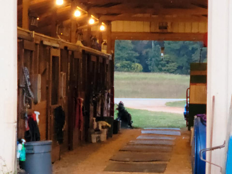 Visit Southern Star Stables