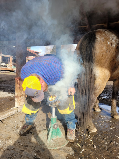 Visit Big Horn Farrier Service LLC