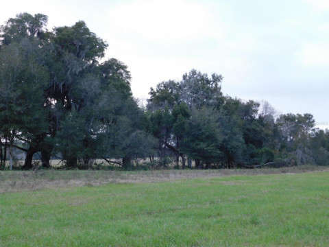 Visit Ocala, FL Area - 10 Acres near WEC, Majestic Oaks and Other Equestrian Venues