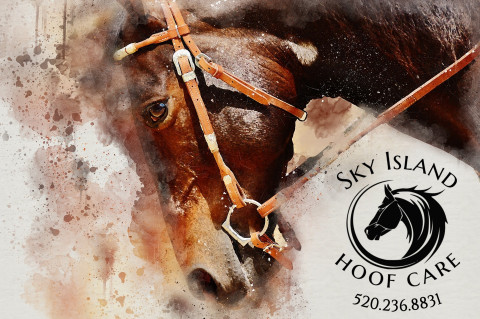 Visit Sky Island Hoof Care