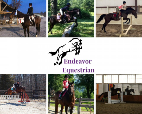 Visit Endeavor Equestrian