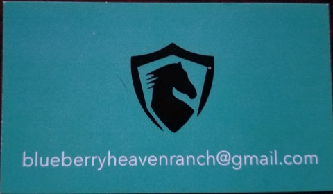 Visit Blueberry Heaven Ranch