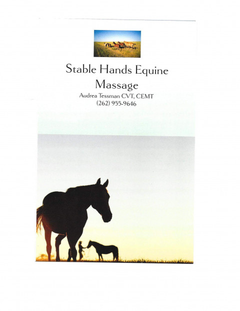 Visit Stable Hands Equine Massage