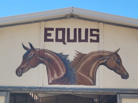 Visit Equus Ranch LLC