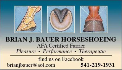 Visit Brian J Bauer Horseshoeing
