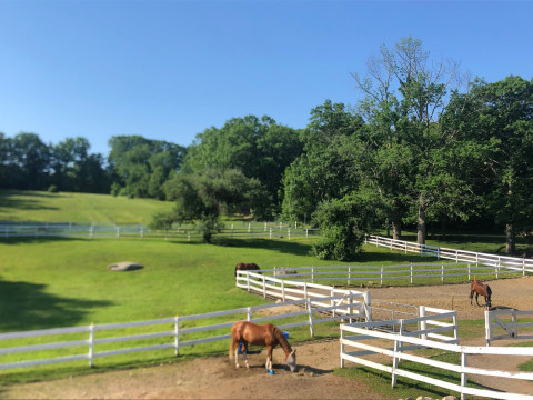 Visit Fuller Family Equestrian