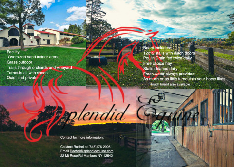 Visit Splendid Equine LLC