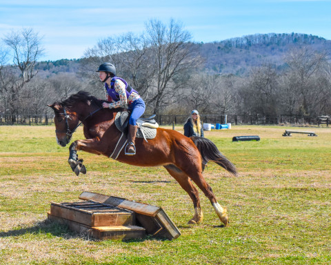 Visit Celestial Riding Academy