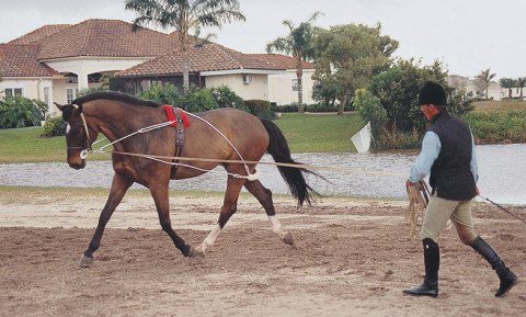 Visit Tack Room, Inc.