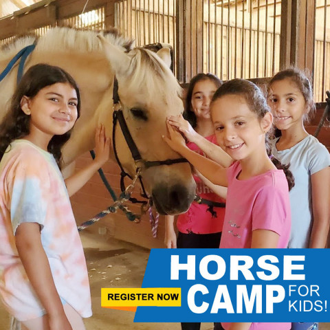 Visit Summer Horse Camp at Iron Horse