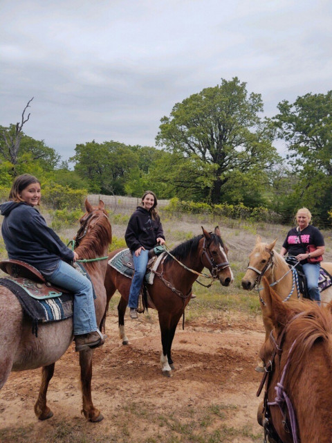 Visit Melody Acres Boarding Stable