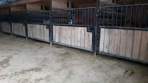 Visit Double O Stables Boarding,  Training & Lessons