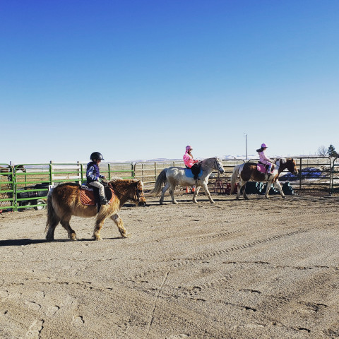 Visit Blackhawk Equestrian