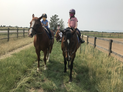 Visit Red Horse Equestrians and Ponies For Preschoolers