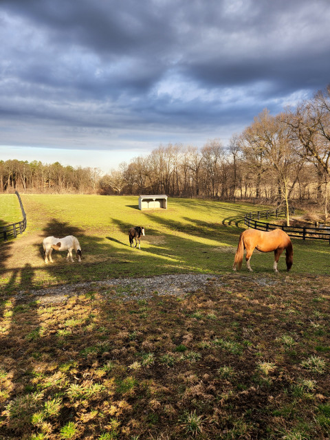 Visit Firefly Farm